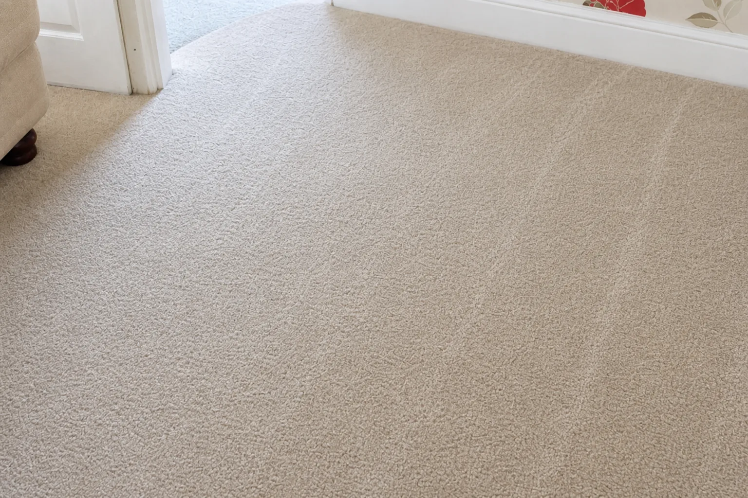 Fresh carpet after professional cleaning